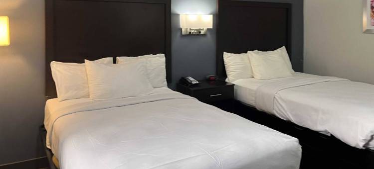 美洲最佳价值酒店(Rodeway Inn Norfolk VA)(Motel 6 Norfolk, VA East Little Creek)图片