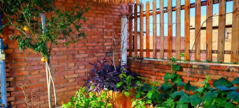 洛阳遇见民宿(洛邑古城店)图片