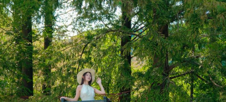 莫干山氧森·YANGSEN夏日滑梯泳池度假民宿图片