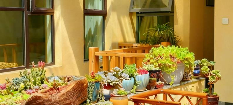 拉萨曼度精品酒店(八廓街大昭寺店)图片