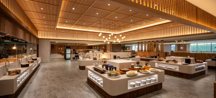 雾岛脉动(THE PULSE KIRISHIMA)图片