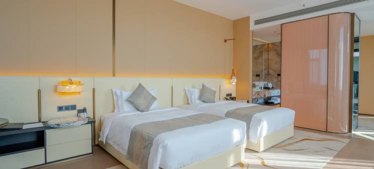 东阿迪铂尔酒店图片