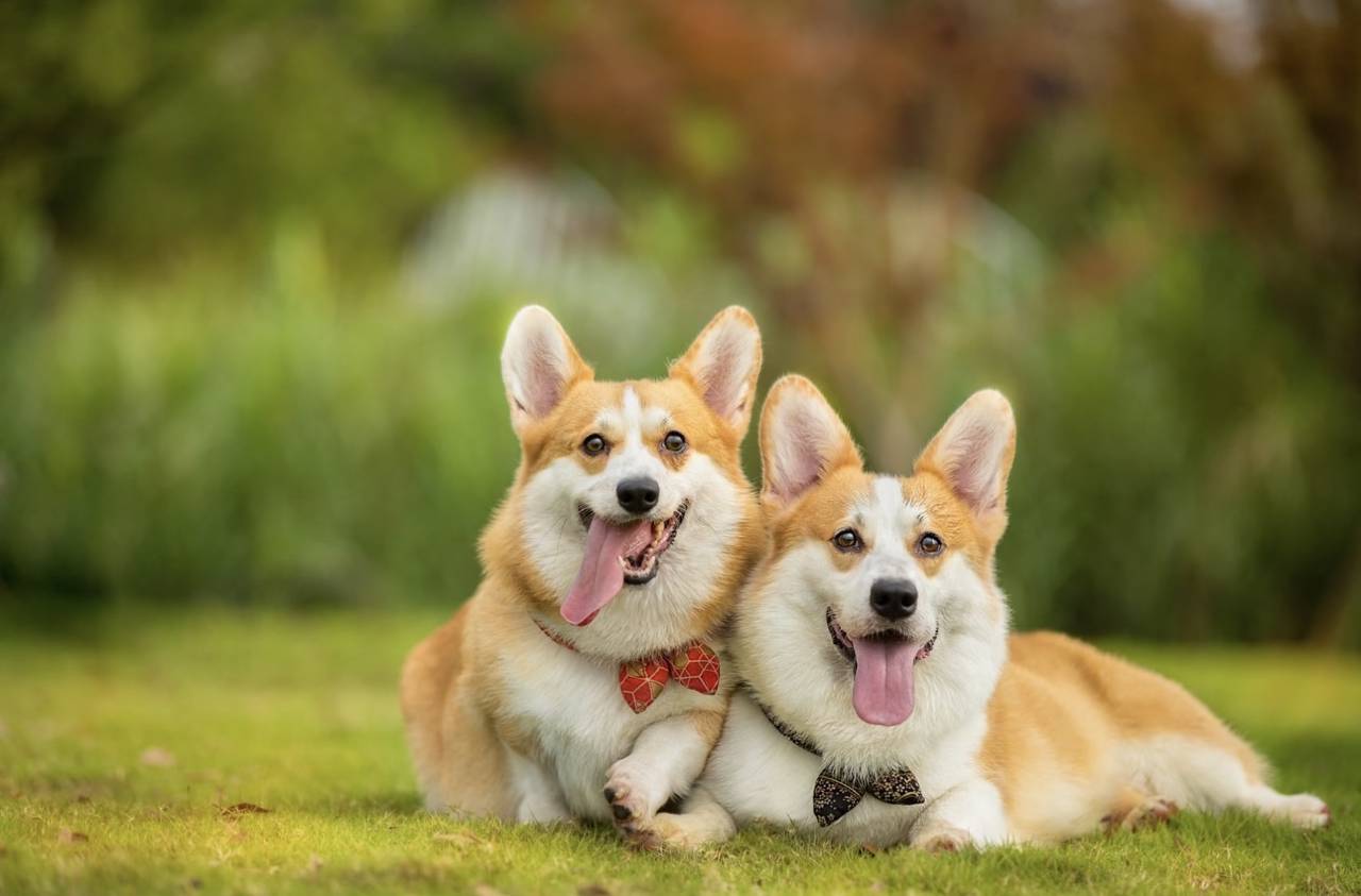 抚仙湖山屿海民宿图片