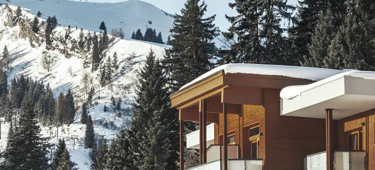 Club Med地中海俱乐部·大山地萨莫安木屋别墅度假村(Club Med The Grand Massif Samoens Morillon Chalet-Apartments)图片