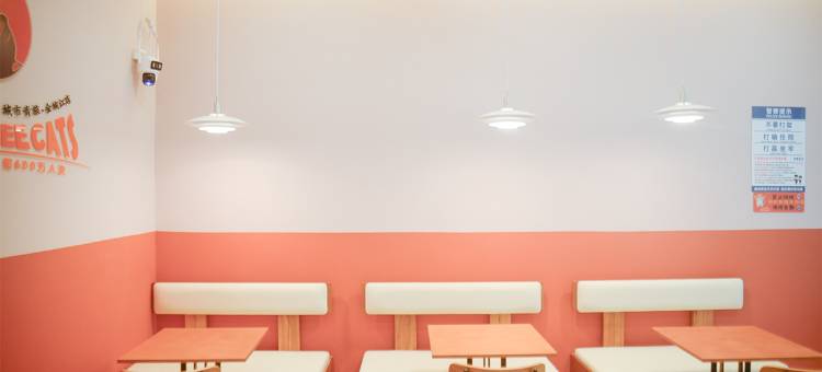 三只猫青年旅社(金城江店)图片