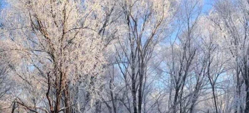 漫庭酒店(兴安国家森林公园店)图片