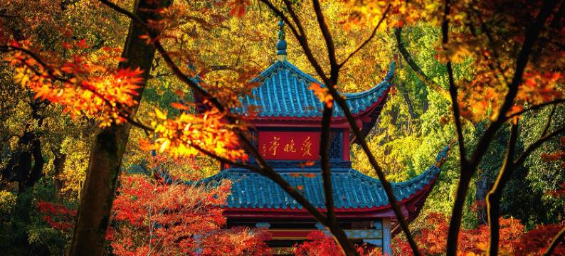 喆啡酒店(长沙五一广场窑岭湘雅二医院地铁站店)图片