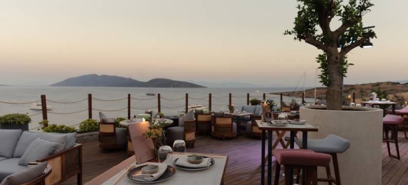 博德鲁姆梅特海滩度假村酒店(METT Hotel & Beach Resort Bodrum)图片