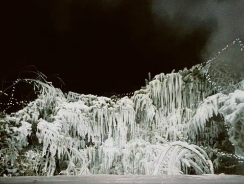 那日·泊设计师度假民宿(长白山西站店)图片