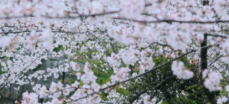 苏州阳澄湖泰康万豪酒店图片
