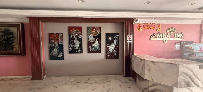阿尼卡旅馆居銮(Anika Inn Kluang)图片