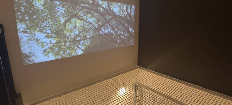 乐天住宿VILLA箱根仙石原(Rakuten STAY VILLA Hakone Sengokuhara)图片