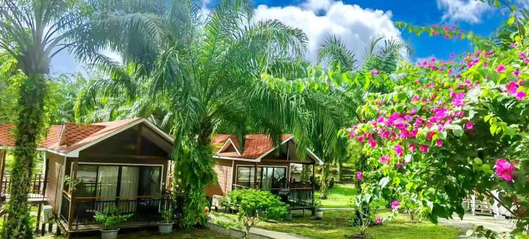 棕榈湖度假村(中文管家服务+免费仙本那镇上/码头接送班车)(Palm Lake Resort)图片
