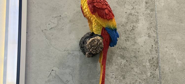长春蓝鲸宾馆(东方广场光华学院店)图片