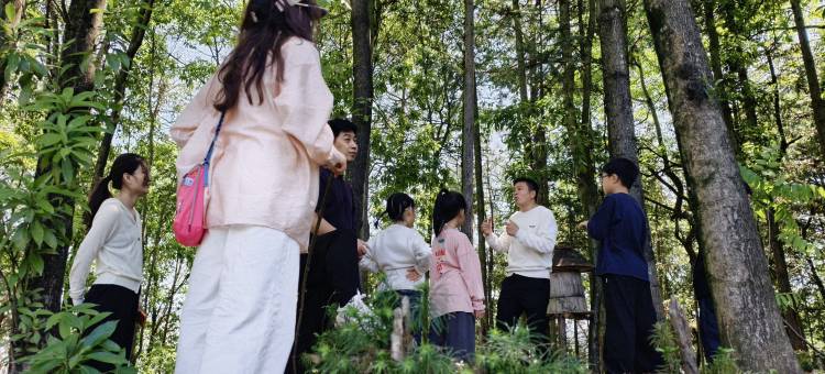 婺源·云上青野·Villa设计师美宿图片