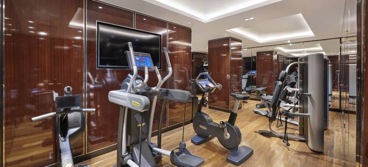 伦敦亚伯特堤岸凯悦酒店(Hyatt Regency London Albert Embankment)图片