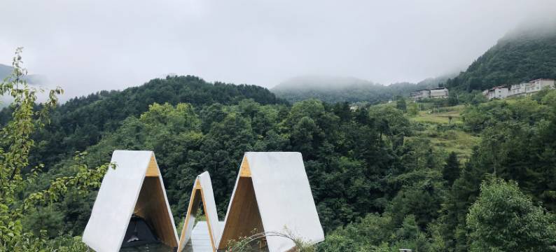 少年院子精品民宿图片