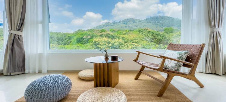 东山岛海屿山居图片