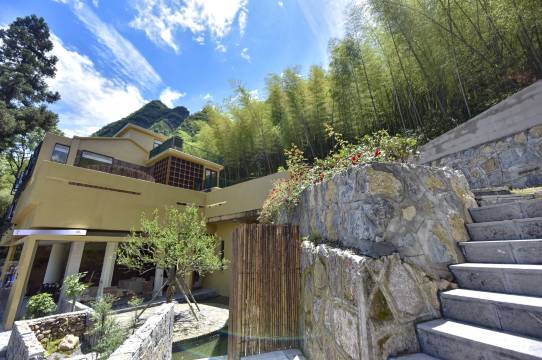 张家界旭竹·伴山美宿(森林公园中门梓木岗门票站店)图片