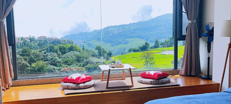 哈窝窝·然梦星宿图片