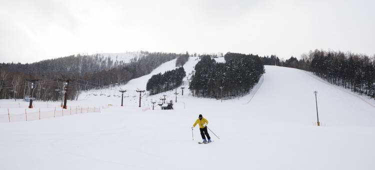 北海道南富良野万枫酒店(Fairfield by Marriott Hokkaido Minamifurano)图片