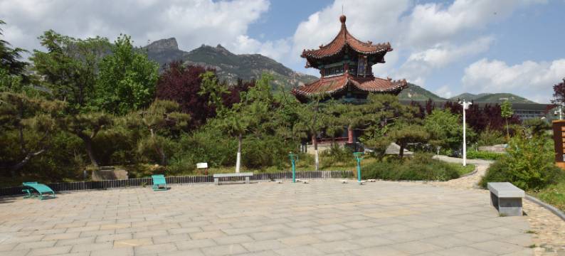 泰安丽景广场酒店(泰山景区天外村店)图片