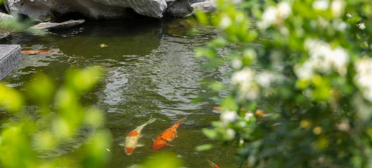 潮州合府庄园图片