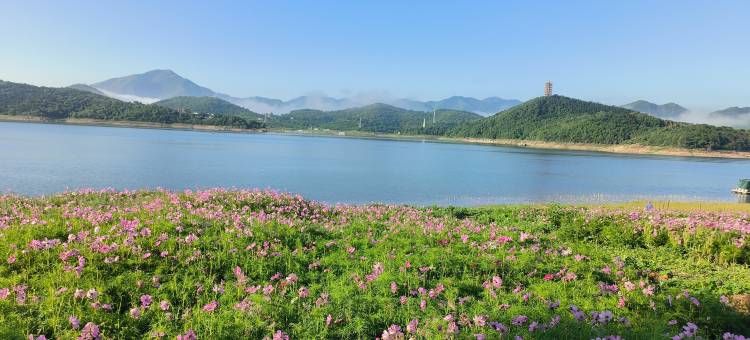 金海湖田园农家图片