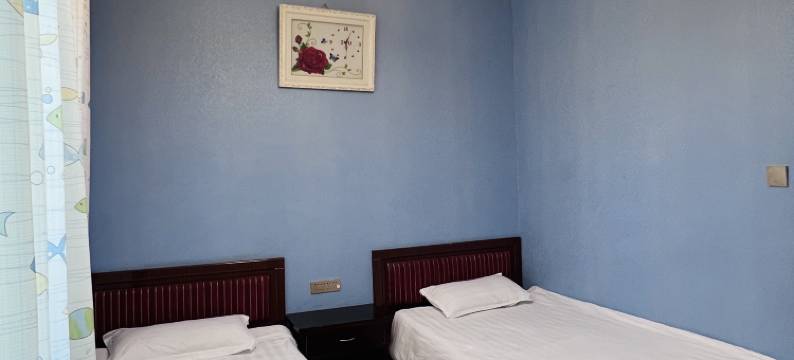 哈那提艾比西风情农家院图片