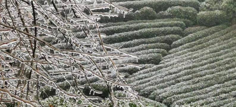 朵一·法式小墅(西湖景区店)图片