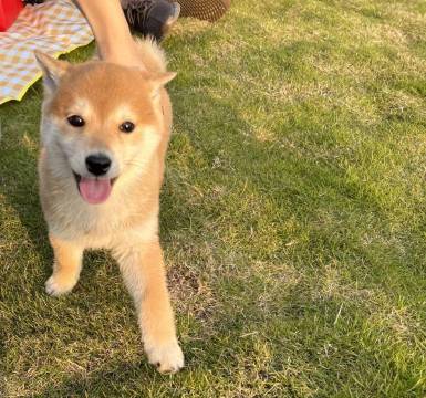 十渡漫渡山居·Villey休闲度假民宿(北京十渡风景名胜区店)图片