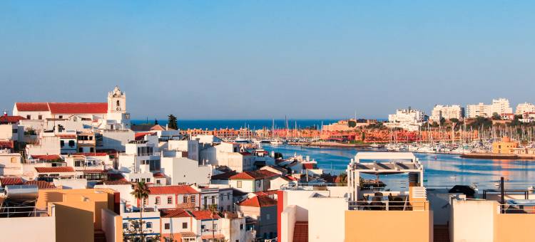 维托尔乡村酒店(Vitors Village)图片