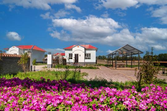 昭苏夏塔的院子民宿图片