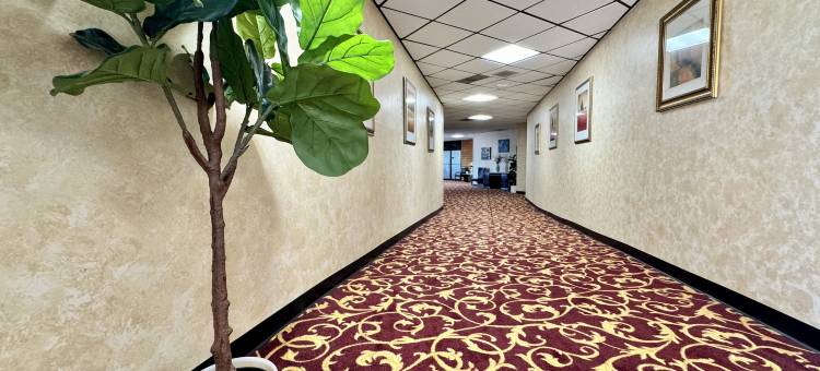 海厄瓦萨费尔布里吉快捷酒店(FairBridge Inn Express Hiawatha)图片