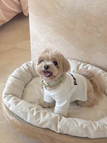 花筑·婺源慢时光城市民宿(婺源高铁站店)图片