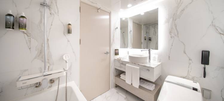 首尔江南艾琳娜酒店(Hotel Eliena Seoul Gangnam)图片