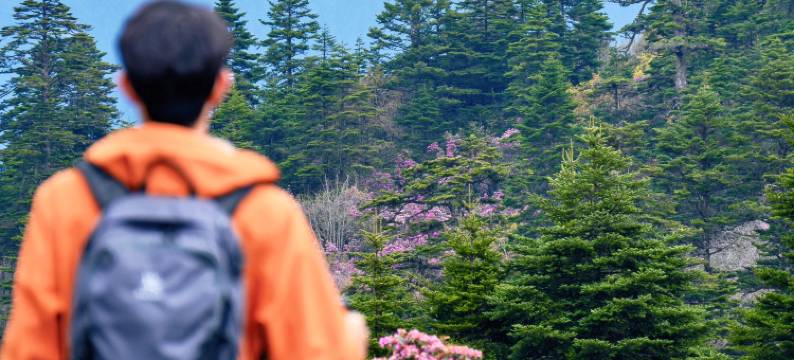 兰坪墅家吾乡罗古箐徒步民宿图片