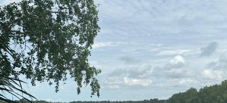 山芭湖渡假村(Sabak Awor Resort)图片