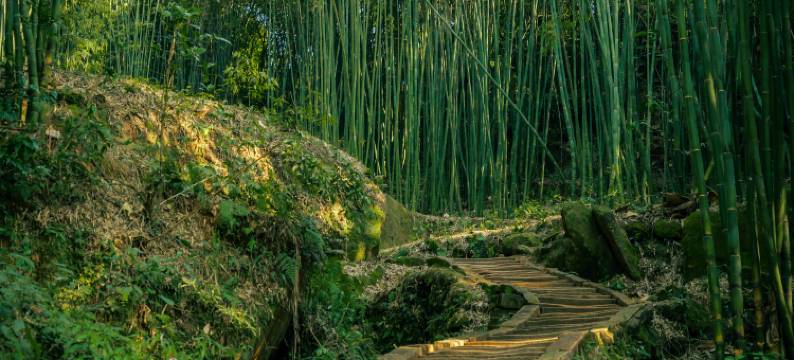 邛崃半山石院民宿图片