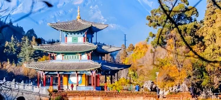 秋枫阁·VineFld丨中式花园丨休闲度假观景庭院(束河古镇店)图片
