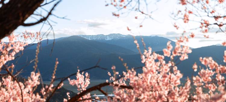半山探野·Comfortable自然生活私享度假美宿(纳帕海旅游景区店)图片