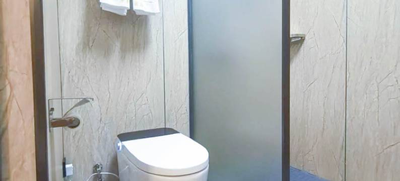 霸州泽泰酒店图片