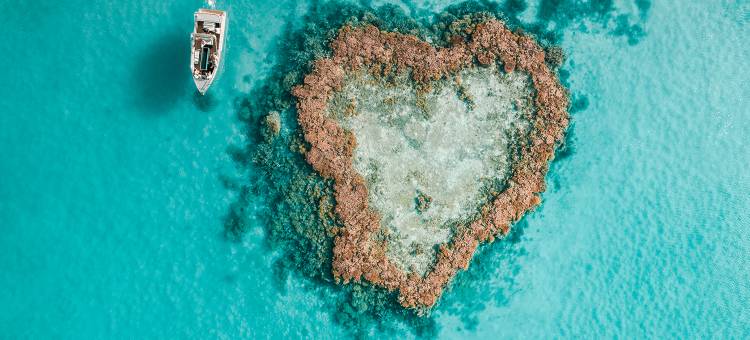 汉密尔顿岛海滨俱乐部(Beach Club)图片