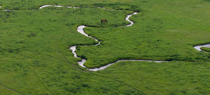 坝上高家大院生态山庄图片