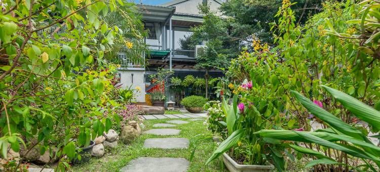 苗栗喆娟梦田图片