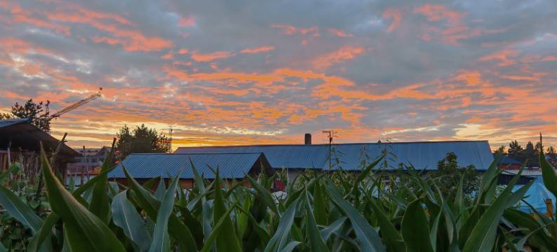 北舍小院(北极村店)图片