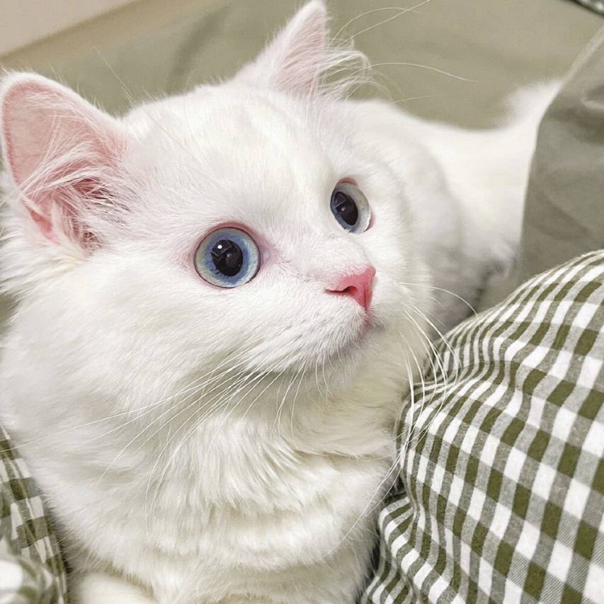 忻语晓院民宿(忻州古城店)图片