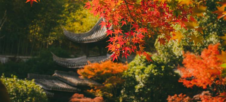 千岛湖燕山君澜度假酒店图片