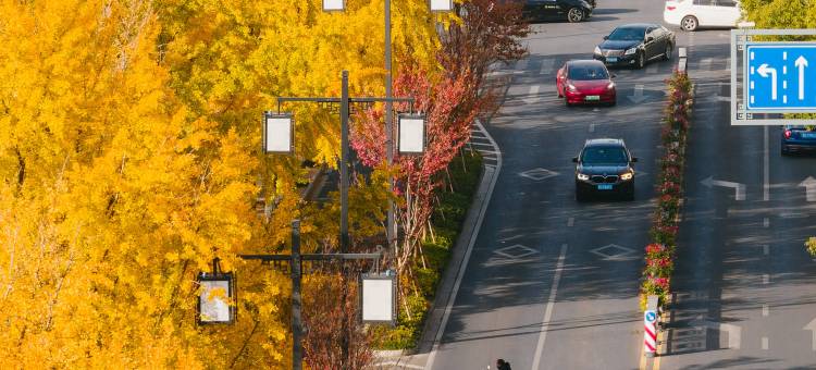 苏州中心大酒店图片