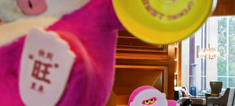 峨眉山恒邦艾美度假酒店图片